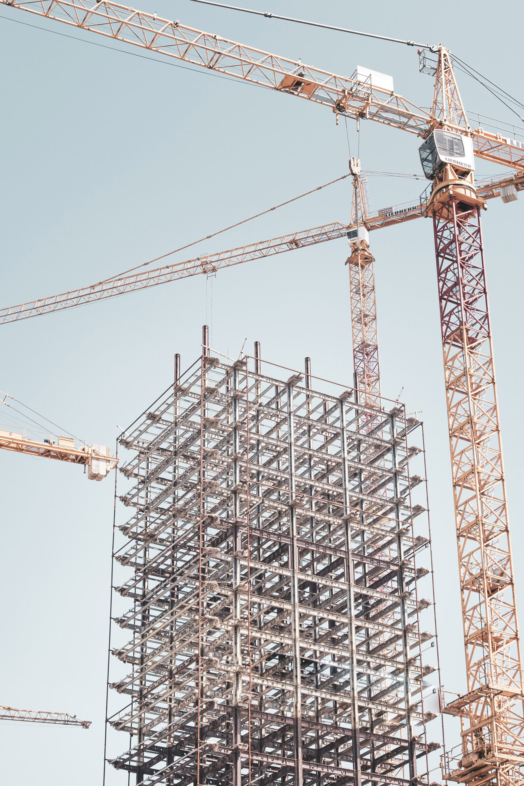 Cranes tower over the skeleton structure of a building under construction