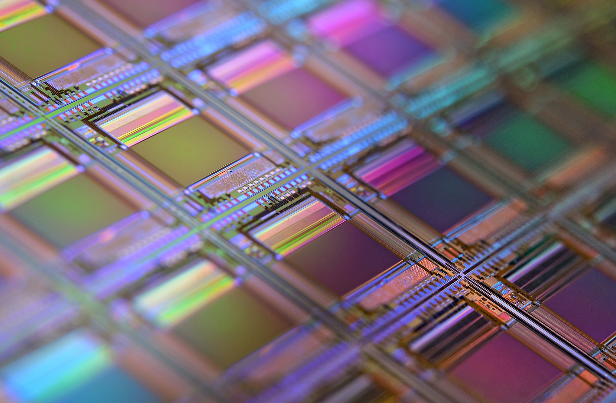 A silicon wafer full of colourful CPU dies