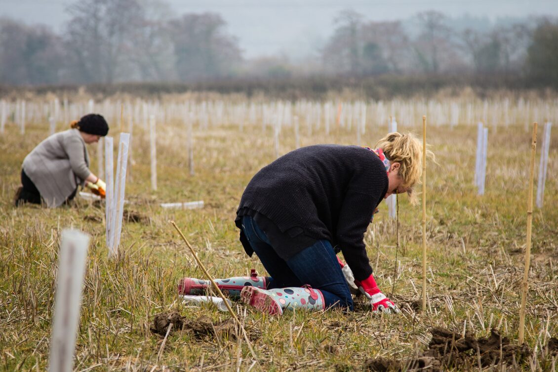 People plant trees to offset carbon emissions in the UK