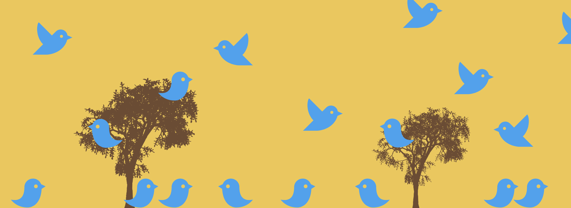 Lots of Twitter birds crowd onto trees