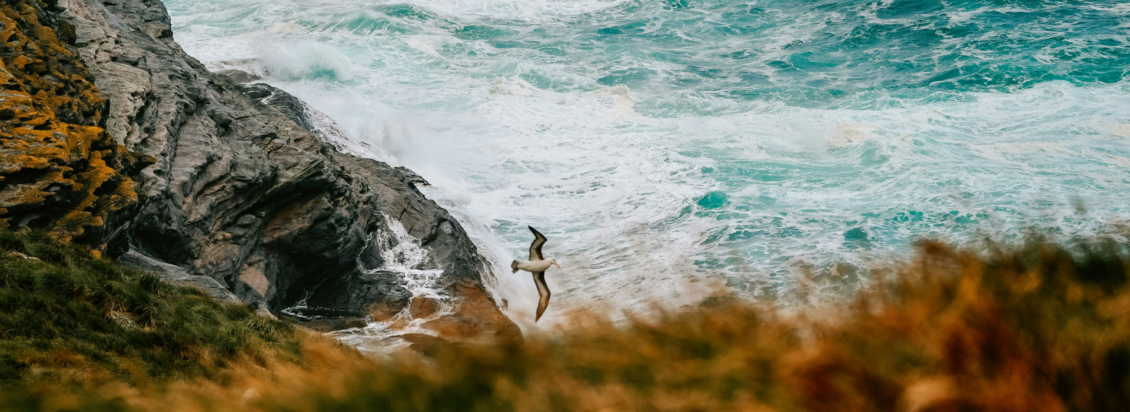 falkland islands seascape